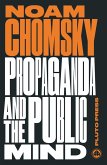 Propaganda and the Public Mind (eBook, PDF)