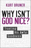 Why Isn't God Nice? (eBook, ePUB)