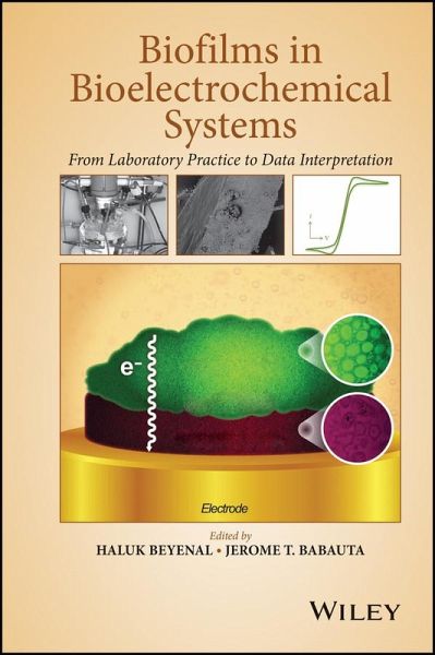Biofilms in Bioelectrochemical Systems (eBook, PDF) Biofilms in Bioelectrochemical Systems (eBook, PDF)