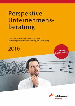 Perspektive Unternehmensberatung 2016 (eBook, ePUB)