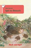 Igel zu Besuch