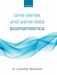 Time Series and Panel Data Econometrics... - Bild 1