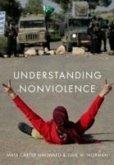 Understanding Nonviolence (eBook, ePUB)