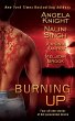 Burning Up (eBook, ePUB) - Bild 1