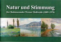 Stockacher Lesebuch - 725 Jahre Geschichte und Geschichten - Istas, Yvonne; Warndorf, Thomas