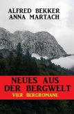 Neues aus der Bergwelt: Vier Bergromane (eBook, ePUB)