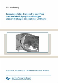 Computergestützte Craniometrie beim Pferd unter Berücksichtigung altersabhängiger Lageverschiebungen osteologischer Landmarks - Ludwig, Matthias