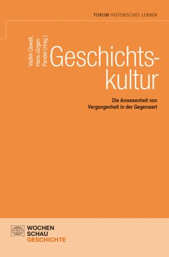 Geschichtskultur (eBook, PDF)