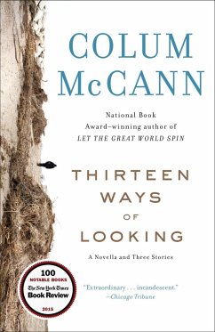 Thirteen Ways of Looking (eBook, ePUB) - McCann, Colum