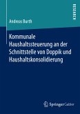 Kommunale Haushaltssteuerung an der Schnittstelle von Doppik und Haushaltskonsolidierung (eBook, PDF)