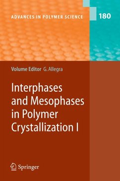 Interphases and Mesophases in Polymer Crystallization I (eBook, PDF)