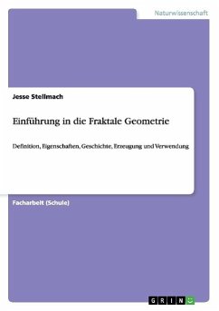 Einführung in die Fraktale Geometrie - Stellmach, Jesse