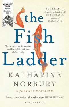 The Fish Ladder - Norbury, Katharine