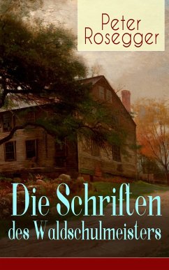Cover Die Schriften des Waldschulmeisters (eBook, ePUB)