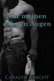 Vor meinen offenen Augen: Eine erotische Fantasie (eBook, ePUB)