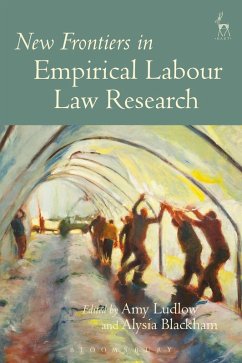 Cover New Frontiers in Empirical Labour Law Research (eBook, PDF)