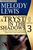 A Tryst in the Shadows - A Sexy Victorian M/M Threesome Short Story from Steam Books (eBook, ePUB)