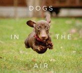 Dogs in the Air (eBook, ePUB)