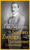 Stefan Zweigs brennendes Geheimnis (eBook, ePUB)