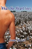 What the Heart Sees (eBook, ePUB)