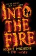 Into the Fire (eBook, ePUB) - Bild 1