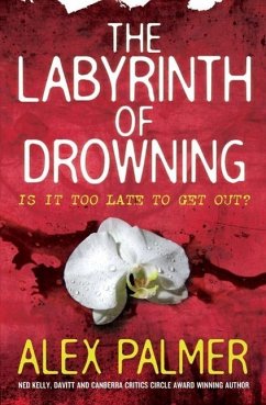 The Labyrinth of Drowning (eBook, ePUB) - Palmer, Alex