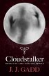 Cloudstalker: Book 5 of the Lunation... - Bild 1