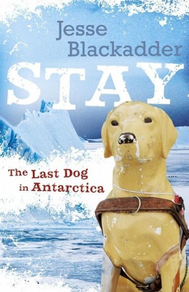 Stay: The Last Dog In Antarctica (eBook, ePUB)