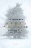 Schuberts Winterreise (eBook, ePUB)