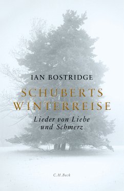 Schuberts Winterreise (eBook, ePUB) - Bostridge, Ian