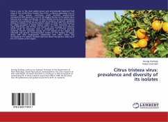 Citrus tristeza virus: prevalence and diversity of its isolates