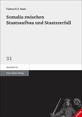 Somalia zwischen Staatsaufbau und Staatszerfall (eBook, PDF)