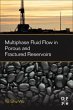 Multiphase Fluid Flow in Porous and... - Bild 1