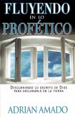 Fluyendo En Lo Profetico (eBook, ePUB)