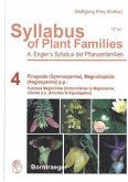 Pinopsida (Gynosperms) Magnoliopsida (Angiosperms) p.p. / Syllabus of Plant Families 4