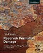 Reservoir Formation Damage (eBook, ePUB) - Bild 1
