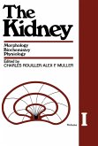The Kidney (eBook, PDF)