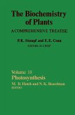 Photosynthesis (eBook, PDF)