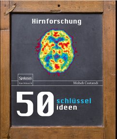 50 Schlüsselideen Hirnforschung (eBook, PDF) - Costandi, Moheb