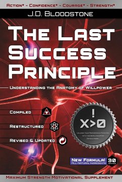 The Last Success Principle - Bloodstone, J. D.