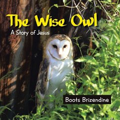 The Wise Owl - Brizendine, Boots