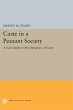 Caste in a Peasant Society - Bild 1
