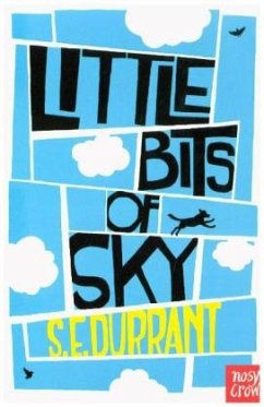 Little Bits of Sky - Durrant, Sue