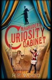 Magruder's Curiosity Cabinet