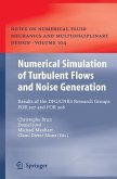 Numerical Simulation of Turbulent Flows and Noise Generation (eBook, PDF)
