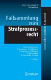 Fallsammlung zum Strafprozessrecht (eBook, PDF)