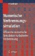 Numerische Verbrennungssimulation... - Bild 1