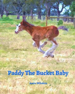 Paddy The Bucket Baby - Wiltshire, Junita