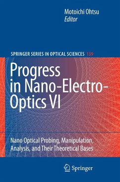 Progress in Nano-Electro-Optics VI (eBook, PDF)