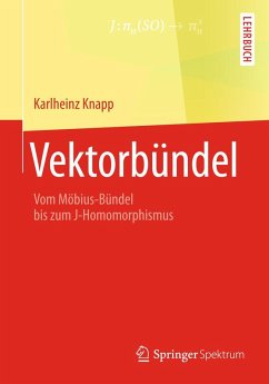Vektorbündel (eBook, PDF) - Knapp, Karlheinz